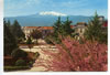 My Gallery: Image